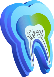 tooth_integrative_small[1].png